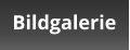 Bildgalerie